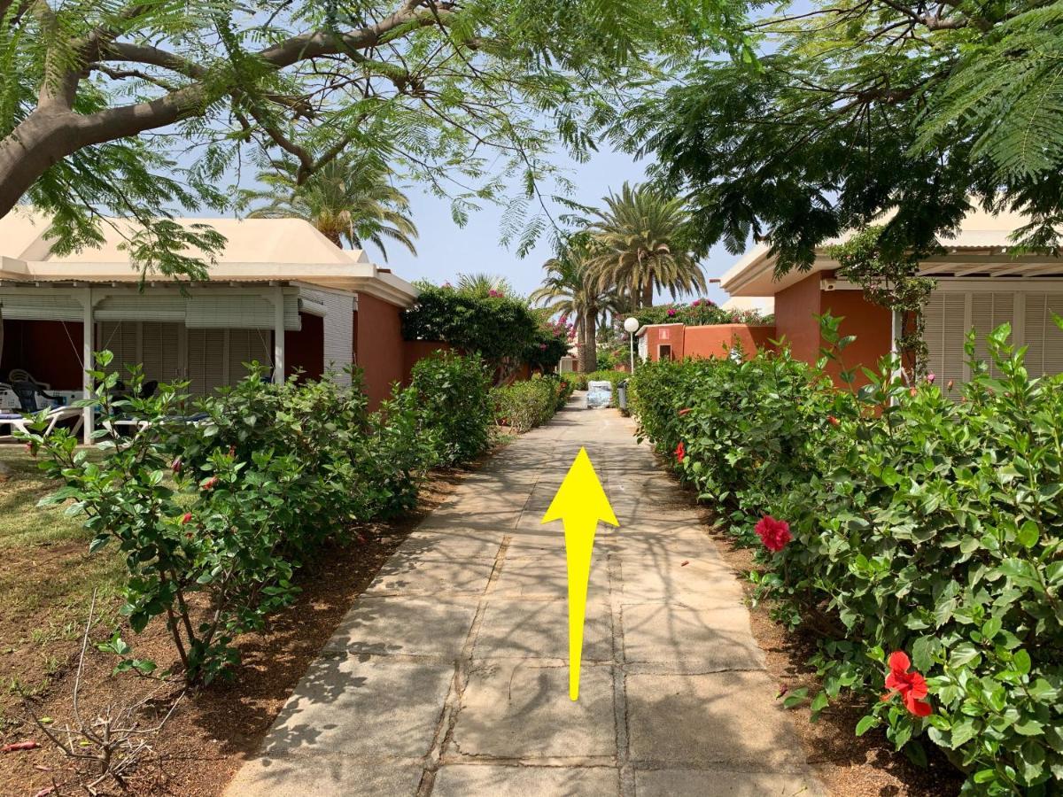 Flamboyant Tree Garden Holiday Home มาสปาโลมาส ภายนอก รูปภาพ